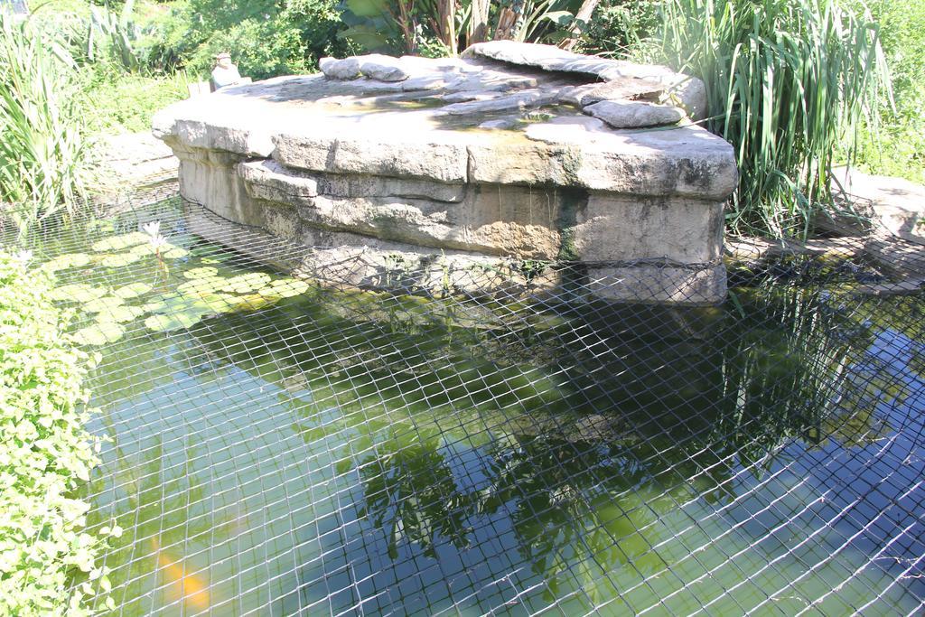 Le Residence De Josephine 克卢夫 外观 照片